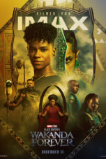Black Panther Wakanda Forever (2022)