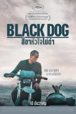 สี่ขาหัวใจไม่ดำ