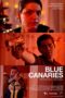 Blue Canaries (2024)