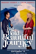 A Big Bold Beautiful Journey (2025)